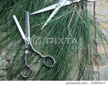 Hair cutting shears Hair cutting shears 30965637