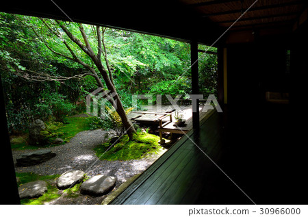 Kyoto trip Kyoto trip 30966000