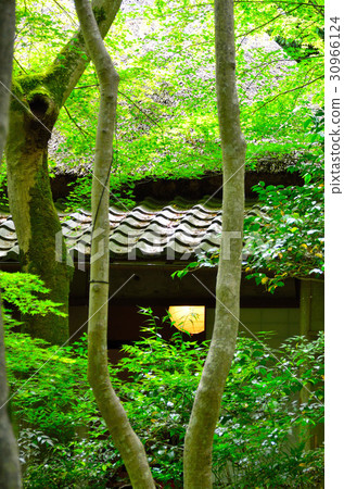 京都之旅 30966124