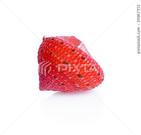 sea shell isolated on white sea shell isolated on white 30967352