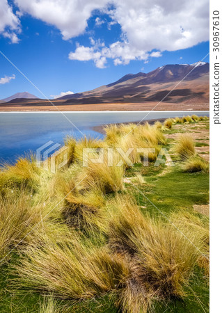 Altiplano laguna in sud Lipez reserva, Bolivia 30967610
