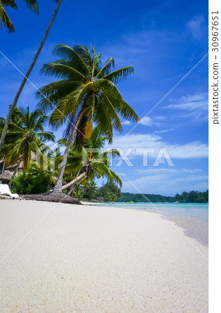 Paradise tropical beach and lagoon, Moorea Island 30967651