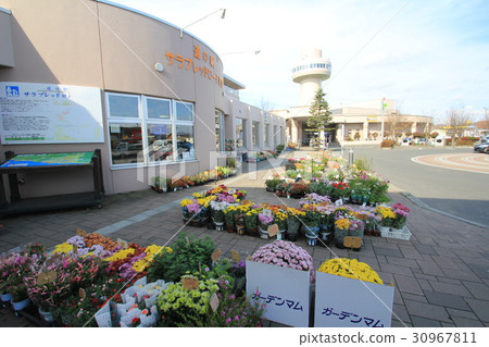 Road Station純種路新皇冠（北海道） 30967811