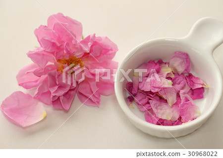 大馬士革玫瑰 30968022