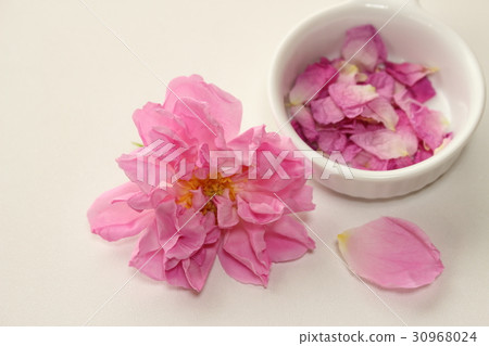 Damask rose 30968024