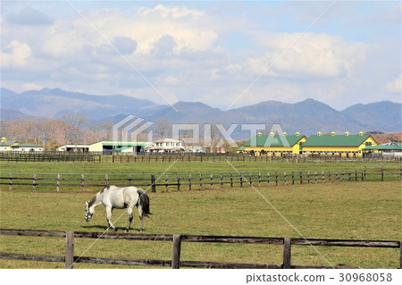 Hidaka Road Thoroughbred Road (Hokkaido) Hidaka Road Thoroughbred Road (Hokkaido) 30968058