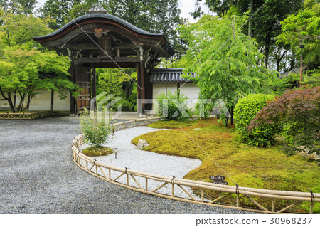 Bisonin Temple新鮮綠色 30968237