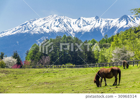 長野縣Koda Kogen Higa Ontakeyama Kiso 30968314