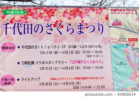 東京觀光景點櫻花點·故宮周圍的春天活動“千代田櫻花節的信息”橫幅·橫向位置 30968634