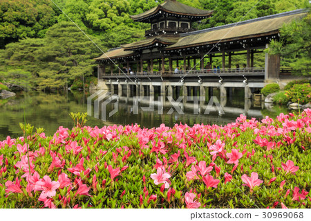 Heian Shrine Fresh green 30969068