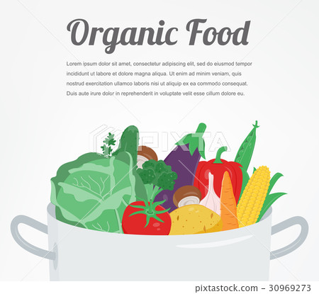 Organic food. Vegetable food icons. Healthy eating 30969273