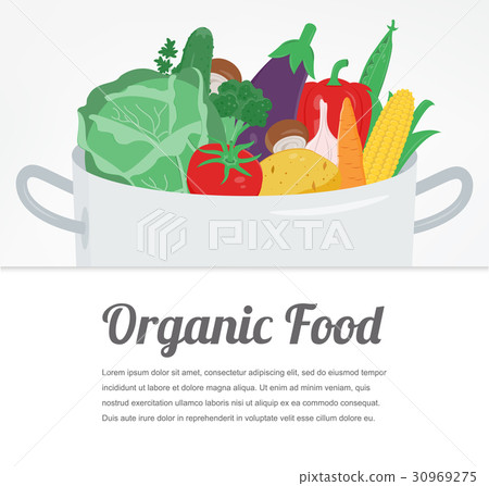 Organic food. Vegetable food icons. Healthy eating Organic food. Vegetable food icons. Healthy eating 30969275