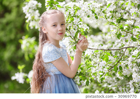 Little girl in blooming apple tree spring garden Little girl in blooming apple tree spring garden 30969770