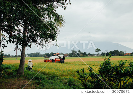 vietnamese traditional village vietnamese traditional village 30970671