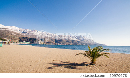 winter beach with palm and snow winter beach with palm and snow 30970678