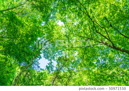  Fresh green eco image 30971530