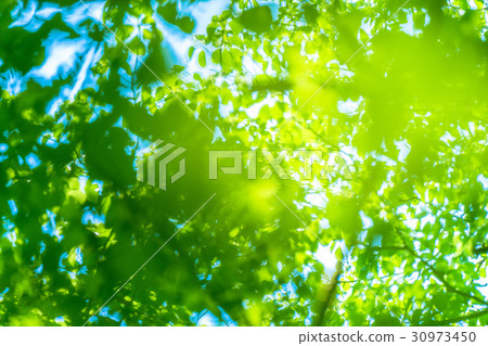  Fresh green eco image 30973450