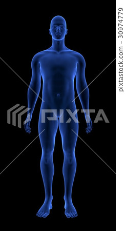 Blue Human Anatomy Body 3D Scan render on black Blue Human Anatomy Body 3D Scan render on black 30974779