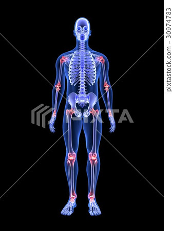 Joint pain. Blue Human Anatomy Body and Skeleton Joint pain. Blue Human Anatomy Body and Skeleton 30974783