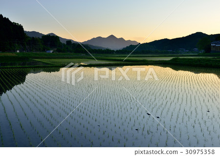 Tanai Makai 30975358