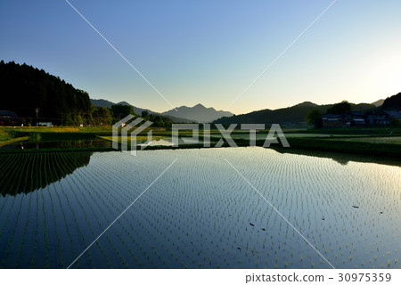 Tanai Makai 30975359