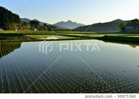 Tanai Makai 30975360