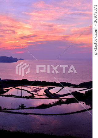 Rice terraces in the east-field 30975373
