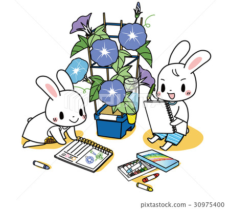 觀察牽牛花 30975400