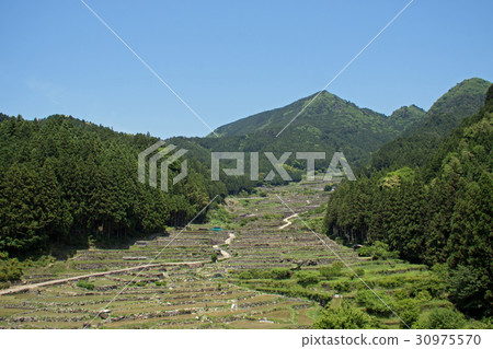 從Yotsuya Sen Itadashita 30975570