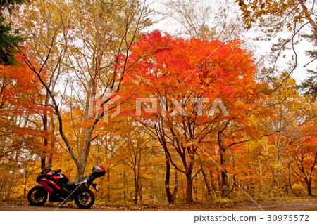 Takadoya wetland bike autumn leaves 30975572