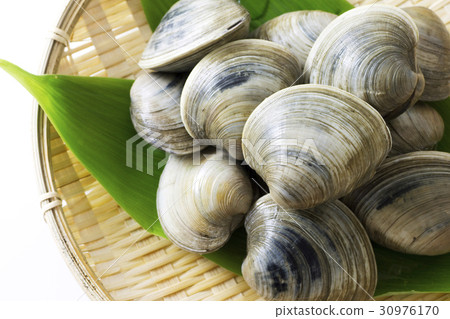 Homininus shellfish 1 30976170