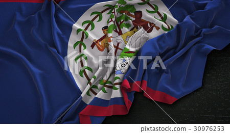 Belize Flag Wrinkled On Dark Background 3D Render 30976253