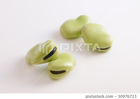 Broad beans Broad beans 30976723