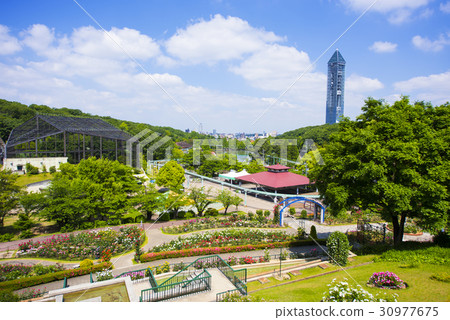 Spring Higashiyama Botanical Garden 30977675