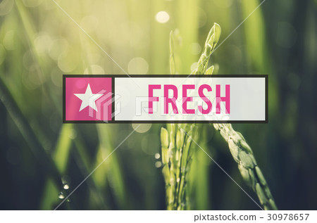 Alternative Farming Sustainable Nature Concept 30978657