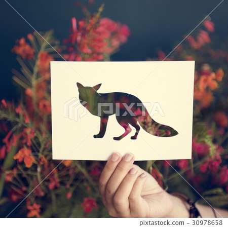 Hand Hold Fox Paper Carving with Flower Background 30978658