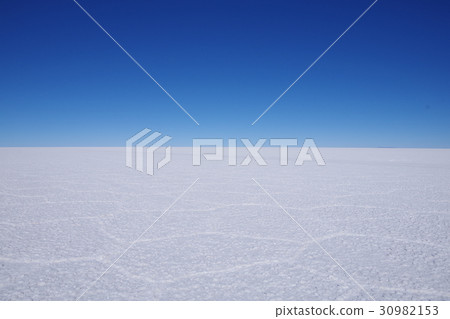 六角鹽土（烏尤尼鹽湖） 30982153