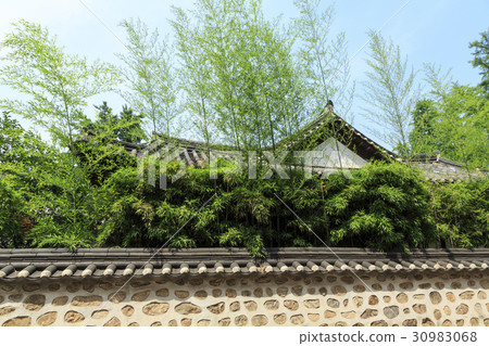 Bamboo, Insadong, Jongno-gu, Seoul Bamboo, Insadong, Jongno-gu, Seoul 30983068