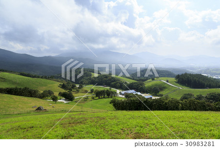 綿羊牧場,Daegwallyeong,平昌郡,江原道 綿羊牧場,Daegwallyeong,平昌郡,江原道 30983281