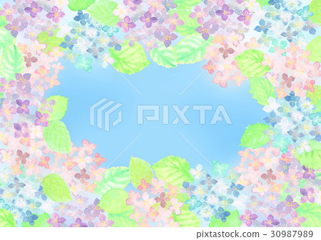 Hydrangea frame - Stock Illustration [30987989] - PIXTA