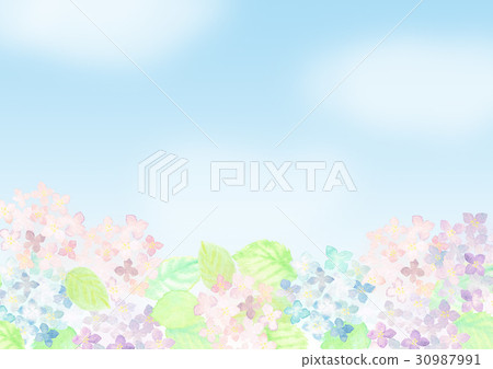 Scenery with hydrangea 30987991