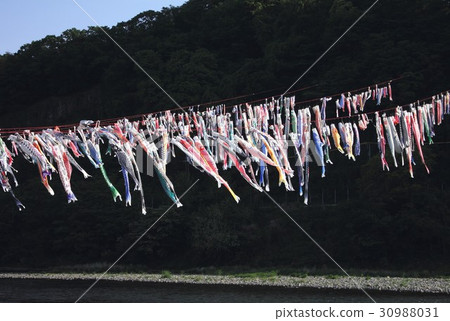 Dado festival, Kanagawa prefecture Sagamihara city Sagami River held "swimming carp streamer Sagami river" many carp streamers on both sides Dado festival, Kanagawa prefecture Sagamihara city Sagami River held "swimming carp streamer Sagami river" many carp streamers on both sides 30988031