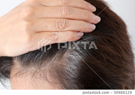 灰色頭髮部分女性 灰色頭髮部分女性 30988129