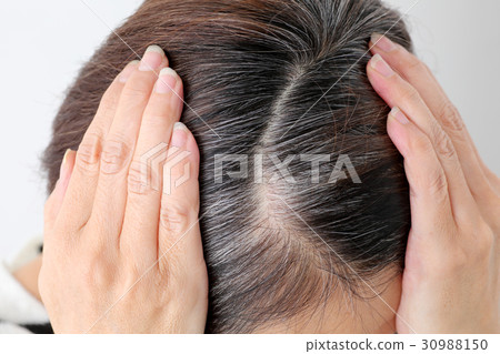 Middle female gray hair 30988150