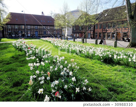 Spring Lund University and the streets of Lund 30988310