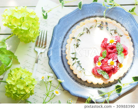 時尚的芝士蛋糕 30988390
