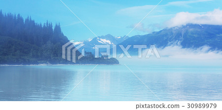 Alaska Alaska 30989979