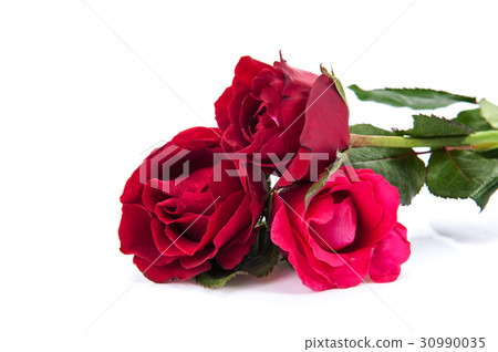 Red roses isolated on white background. Red roses isolated on white background. 30990035