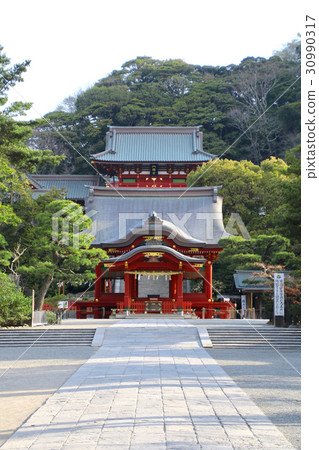 鶴岡八幡宮·麥神社·本州(鎌倉市) 鶴岡八幡宮·麥神社·本州(鎌倉市) 30990317