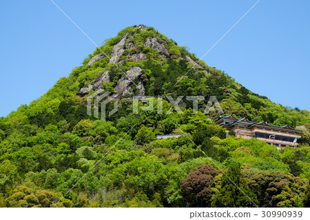 Taro Boy Palace of the fresh green 30990939